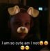 Isabella Newcomb - Facebook