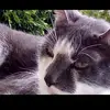 Isabella Packham - @packhamisabella - TikTok