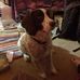 Bella Phipps - Facebook