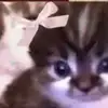 Isabellaaaa😝😝 - @isabella.polanco8 - TikTok
