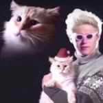 Isabella Porter - @never_ending_payne_ - Instagram