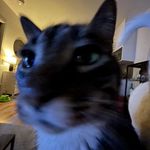 Isabella Larsson Roth - @larssonroth75 - Instagram