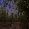 isabellaroth100 - @isabellaroth100 - TikTok