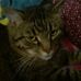 Isabella Sinclair - Facebook
