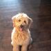 Isabella Sinclair - Facebook