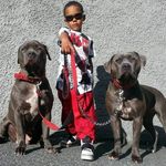Isabella Stapleton - @primetimek9 - Instagram