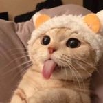 Isabella Smith - @isabella.tanner.125 - Instagram