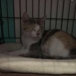 Isabella Tracy - @isabella_animals_ - Instagram