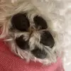 Isabella Watson - @isabella.clark17 - TikTok