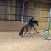 Isabella Whiting - Facebook