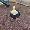 isabelle - @isabelle.abbott - TikTok