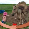 Isabelle Bedard - @ibedard1901 - TikTok
