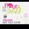 À fleur de pots - @isabelle.bergeron28 - TikTok