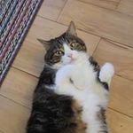 Isabelle Bergeron - @isabelle.bergeron.3701 - Instagram