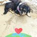 Isabelle Beyer - Facebook