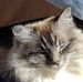Isabelle Bolin - Facebook