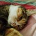 Isabelle Branger - Facebook