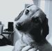 Isabelle Branger - Facebook