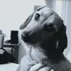 isabellebranger49 - @isabellebranger49 - TikTok