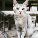 isabella byrd - @isabellathecat44 - Instagram