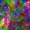 isabellecampbell6 - @izzyizzyizzy12345678910 - TikTok
