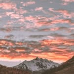 𝐼𝓈𝒶𝒷𝑒𝓁𝓁𝒶 𝒞𝒶𝓃𝓉𝓇𝑒𝓁𝓁 - @i_cantrell2468 - Instagram
