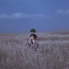 Isabelle Casey - @isabelle.caseyy - TikTok