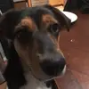 Isabella Christensen🐵🐵🐵🐵🐵 - @isabella12345678010 - TikTok