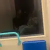 Isabelle - @isabelleclark08 - TikTok