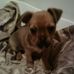 Isabelle Clement - Facebook