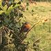 Izzy Coates - Facebook