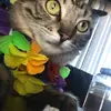 Isabelle - @isabellekcobb - TikTok
