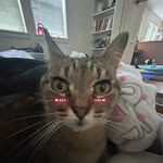 Isabelle Coffman - @notisobelle - Instagram