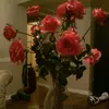 isabella.conn - @loveitbellasocute - TikTok