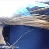 Isabelle Dawson - @xxizziexox - TikTok