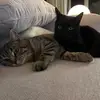 Isa - @isabelle_eberhardt - TikTok