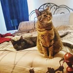 Isabelle and Ebert - @izzyandebert - Instagram