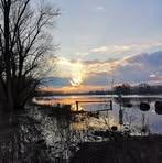 Isabelle Eckert - Facebook
