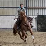 Isabelle Eckert - @isabelle_dodge_horsemanship - Instagram