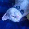 Isabella elder - @2021bellbell2021 - TikTok
