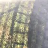 bella - @isabelleernst - TikTok