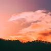 Isabelle Evans - @isabelle.evans82 - TikTok