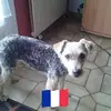 isabellefeeser - @isabellefeeser - TikTok