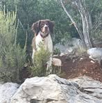 Isabelle Ferro-hardy - Facebook