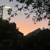 Isabelle Field - @isabelle.field - TikTok
