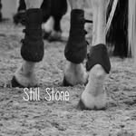 Isabelle Galvan - @stillstone.photography - Instagram