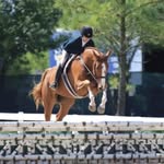 Isabelle J Galvan - @ijequestrian - Instagram