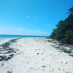 Isabelle George - @isabelle.george.35 - Instagram