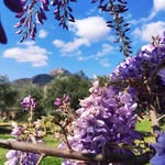 Isabelle Germain - @isabelle.germain.7906 - Instagram