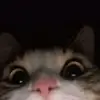 isabelle - @isabelle_grady - TikTok